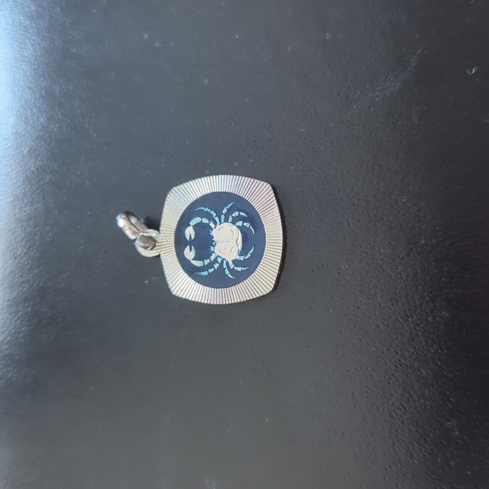 🦀♋Vintage Silver Enamel Cancer Zodiac Astrology Pendant